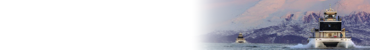 Norway’S Brim Explorercase Study Banner
